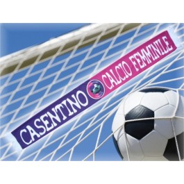 Sciarpa Raso Poliestere 8