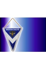 Gagliardetto Triangolare Medio 20x27cm